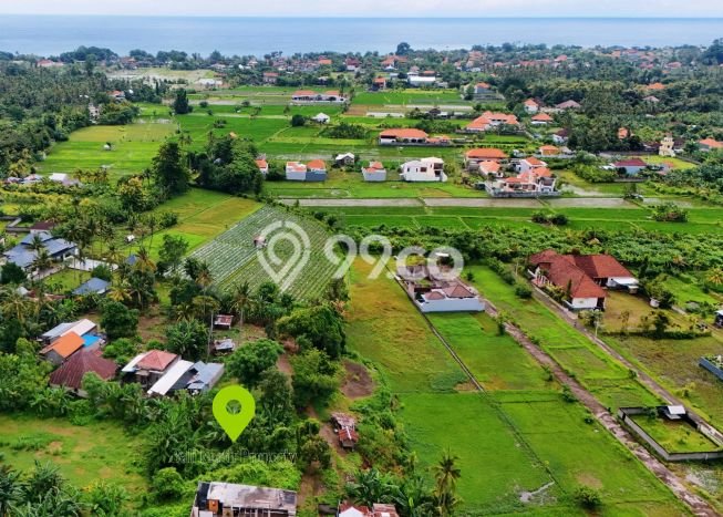Tanah Kavling Dijual di Lovina, Buleleng dengan Luas Tanah 830m2 Tanah Kavling Dijual di Lovina, Buleleng dengan Luas Tanah 830m2