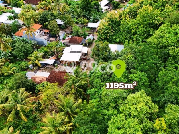 Kavling Tanah untuk Dijual di Lovina, Buleleng, Luas 1195m2 Kavling Tanah untuk Dijual di Lovina, Buleleng, Luas 1195m2
