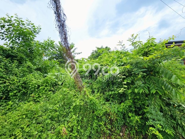 Tanah Kavling Dijual di Buleleng dengan Spesifikasi 400m2 Tanah Kavling Dijual di Buleleng dengan Spesifikasi 400m2