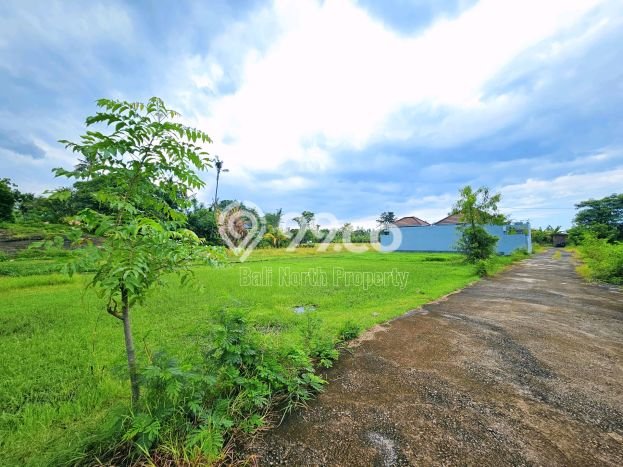 Untuk Dijual Tanah di Buleleng, Luas 200m2 SHM Untuk Dijual Tanah di Buleleng, Luas 200m2 SHM