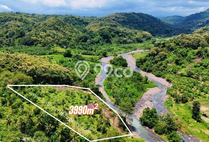 Dijual Tanah di Buleleng Buleleng Luas 3990m2 SHM Dijual Tanah di Buleleng Buleleng Luas 3990m2 SHM