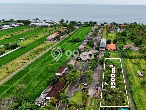 Tanah Dijual Area Strategis di Lovina Buleleng 1500m2 Tanah Dijual Area Strategis di Lovina Buleleng 1500m2