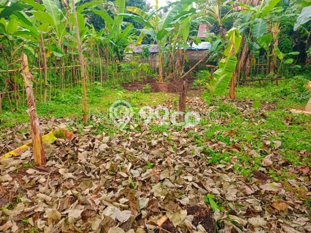 Dijual Tanah Lokasi Lovina, Buleleng Seluas 400m2 Dijual Tanah Lokasi Lovina, Buleleng Seluas 400m2