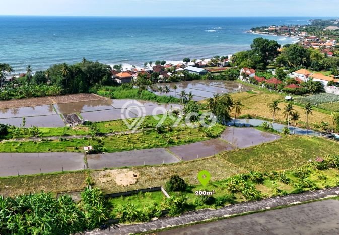 Tanah Dijual Area Strategis di Lovina Buleleng 200m2 Tanah Dijual Area Strategis di Lovina Buleleng 200m2