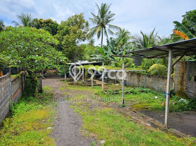 Untuk Dijual Tanah di Buleleng, Luas 1000m2 SHM Untuk Dijual Tanah di Buleleng, Luas 1000m2 SHM