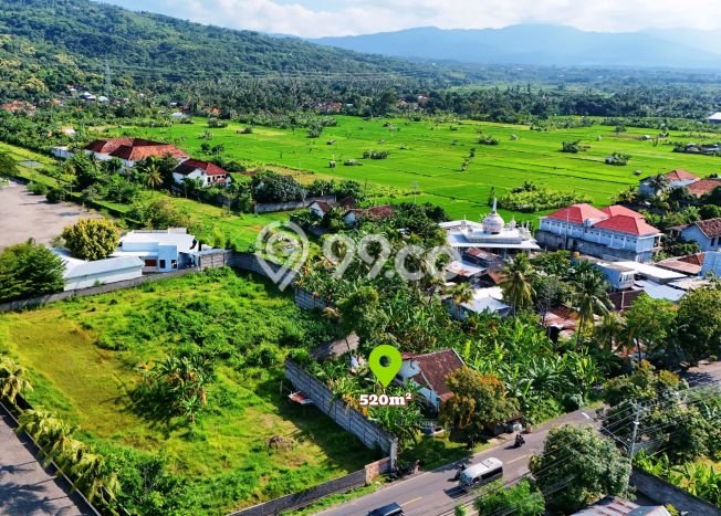 Tanah Kavling Dijual di Buleleng dengan Spesifikasi 520m2 Tanah Kavling Dijual di Buleleng dengan Spesifikasi 520m2