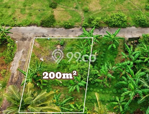 Dijual Tanah Lokasi Lovina, Buleleng Seluas 200m2 Dijual Tanah Lokasi Lovina, Buleleng Seluas 200m2