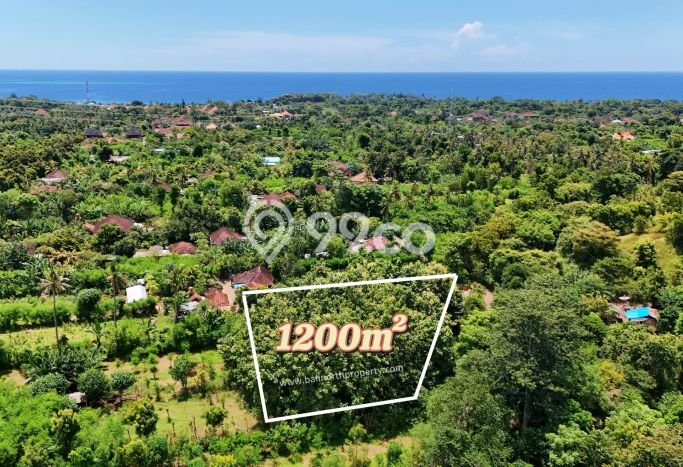Untuk Dijual Tanah 1200m2 di Pemuteran, Buleleng Untuk Dijual Tanah 1200m2 di Pemuteran, Buleleng