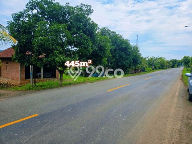 Untuk Dijual Tanah di Buleleng Buleleng Luas 445m2 SHM Untuk Dijual Tanah di Buleleng Buleleng Luas 445m2 SHM