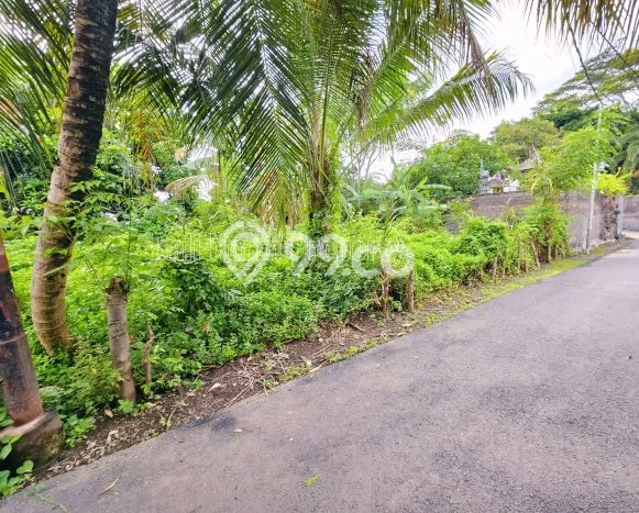 Kavling Tanah untuk Dijual di Lovina, Buleleng, Luas 300m2 Kavling Tanah untuk Dijual di Lovina, Buleleng, Luas 300m2