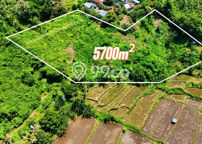 Kavling Tanah Dijual di Buleleng, Buleleng, Luas 5700m2 Area Strategis Kavling Tanah Dijual di Buleleng, Buleleng, Luas 5700m2 Area Strategis