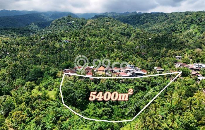 Tanah Dijual Lokasi Buleleng, Buleleng dengan Luas Tanah 5400m2 dan Status SHM Tanah Dijual Lokasi Buleleng, Buleleng dengan Luas Tanah 5400m2 dan Status SHM