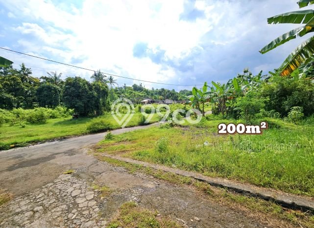 Dijual Tanah Lokasi Lovina, Buleleng Seluas 200m2 Dijual Tanah Lokasi Lovina, Buleleng Seluas 200m2