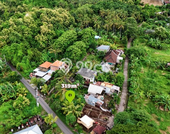 Tanah Dijual di Buleleng Seluas 319m2 Strategis Tanah Dijual di Buleleng Seluas 319m2 Strategis