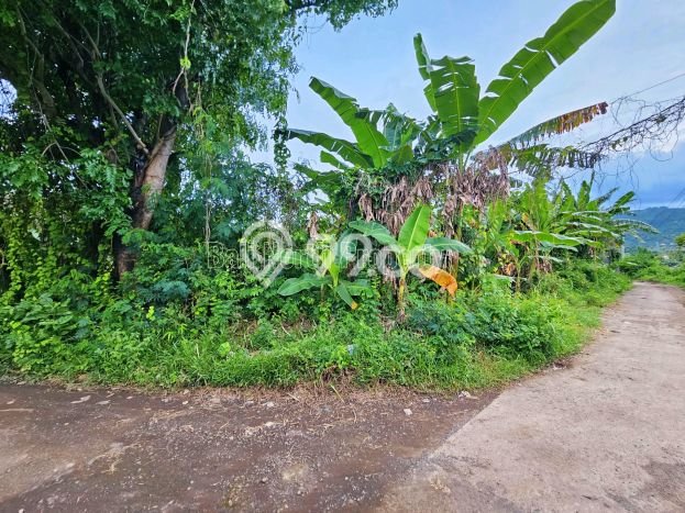 Tanah Kavling Dijual di Lovina, Buleleng dengan Luas Tanah 500m2 Tanah Kavling Dijual di Lovina, Buleleng dengan Luas Tanah 500m2