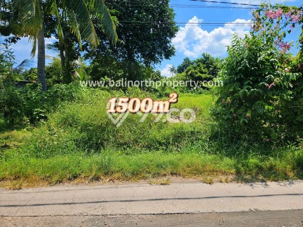 Tanah Kavling Dijual di Buleleng dengan Spesifikasi 1500m2 Tanah Kavling Dijual di Buleleng dengan Spesifikasi 1500m2