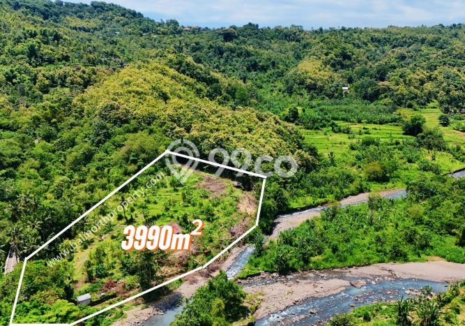 Dijual Tanah di Buleleng Buleleng Luas 3990m2 SHM Dijual Tanah di Buleleng Buleleng Luas 3990m2 SHM