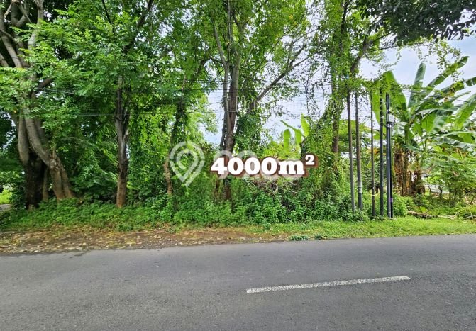 Dijual Tanah Lokasi Lovina, Buleleng Seluas 4000m2 Dijual Tanah Lokasi Lovina, Buleleng Seluas 4000m2