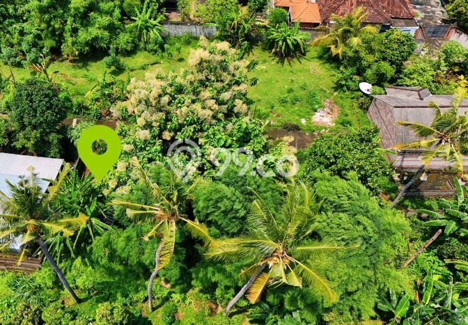 Tanah Kavling Dijual di Lovina, Buleleng dengan Luas Tanah 150m2 Tanah Kavling Dijual di Lovina, Buleleng dengan Luas Tanah 150m2