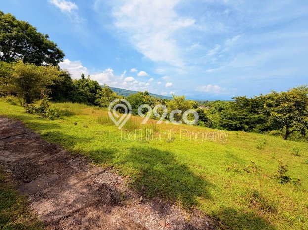 Tanah Dijual di Buleleng Seluas 1000m2 Strategis Tanah Dijual di Buleleng Seluas 1000m2 Strategis