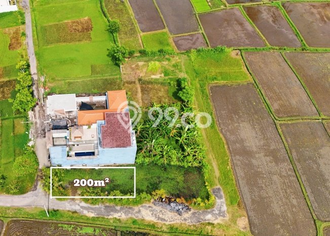 Dijual Tanah 200m2 di Lovina, Buleleng Dijual Tanah 200m2 di Lovina, Buleleng