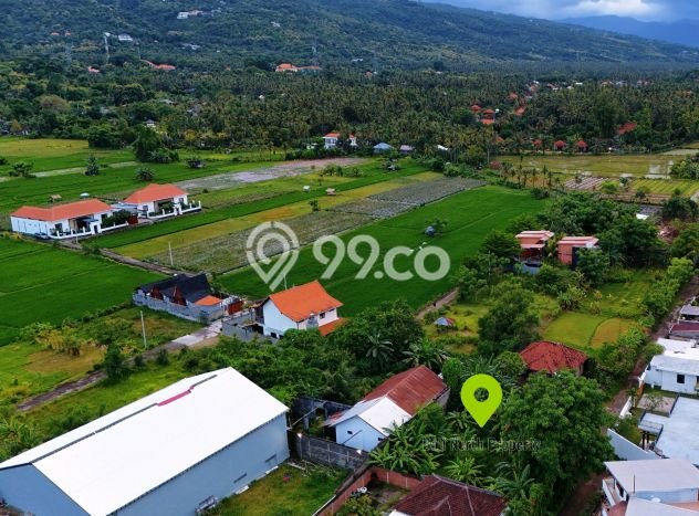 Tanah Kavling Dijual di Lovina, Buleleng dengan Luas Tanah 500m2 Tanah Kavling Dijual di Lovina, Buleleng dengan Luas Tanah 500m2