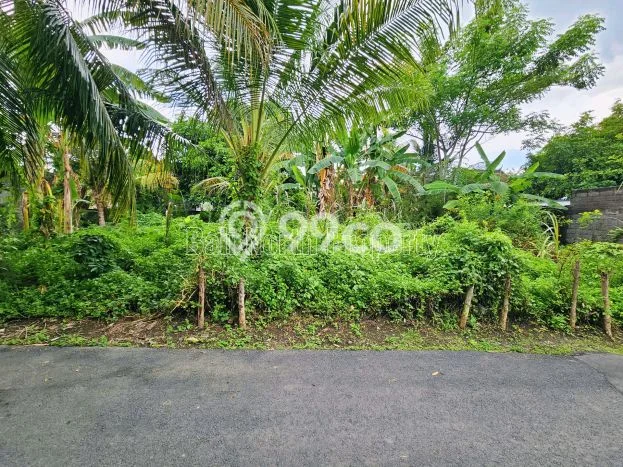 Kavling Tanah untuk Dijual di Lovina, Buleleng, Luas 300m2 Kavling Tanah untuk Dijual di Lovina, Buleleng, Luas 300m2