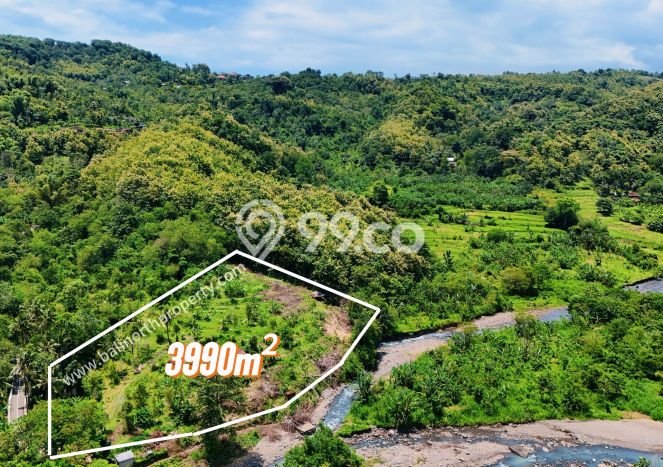 Dijual Tanah di Buleleng Buleleng Luas 3990m2 SHM Dijual Tanah di Buleleng Buleleng Luas 3990m2 SHM