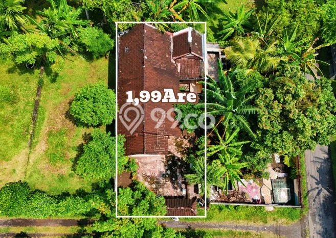 Dijual Hunian Rumah Nyaman 3 Kamar di Lovina, Buleleng Dijual Hunian Rumah Nyaman 3 Kamar di Lovina, Buleleng
