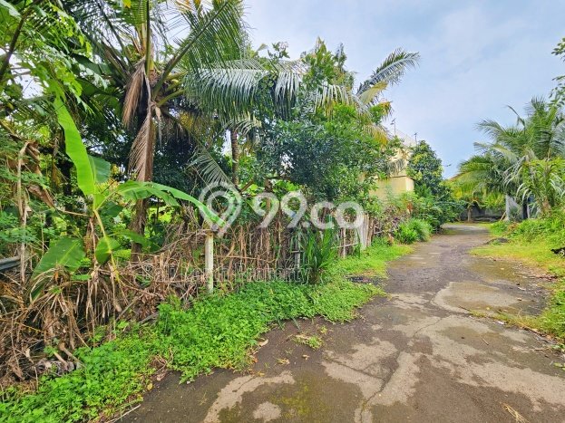 Tanah Siap Bangun Dijual di Buleleng Punya Luas 400m2 Tanah Siap Bangun Dijual di Buleleng Punya Luas 400m2