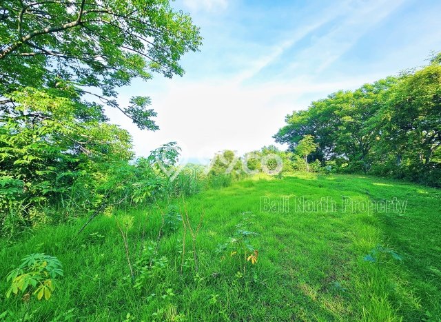 Tanah Dijual di Buleleng Seluas 4300m2 Strategis Tanah Dijual di Buleleng Seluas 4300m2 Strategis