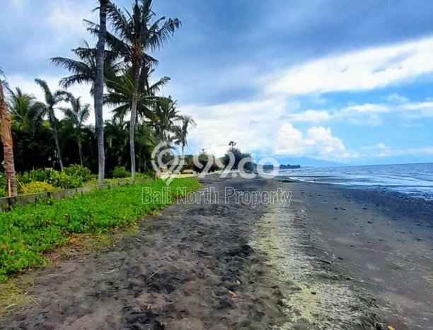 Tanah Dijual Area Strategis di Lovina Buleleng 1250m2 Tanah Dijual Area Strategis di Lovina Buleleng 1250m2
