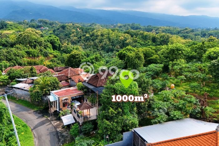 Tanah Dijual Lokasi Buleleng, Buleleng Luas 1000m2 Legalitas Aman Tanah Dijual Lokasi Buleleng, Buleleng Luas 1000m2 Legalitas Aman