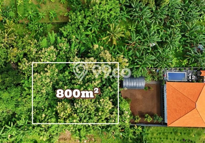 Kavling Tanah untuk Dijual di Lovina, Buleleng, Luas 800m2 Kavling Tanah untuk Dijual di Lovina, Buleleng, Luas 800m2