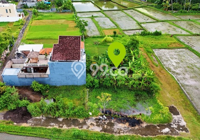 Tanah Dijual di Buleleng Seluas 300m2 Strategis Tanah Dijual di Buleleng Seluas 300m2 Strategis