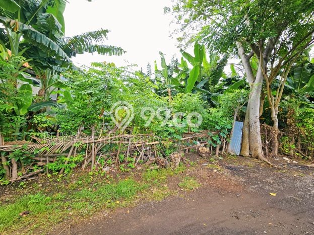 Lahan Dijual Lokasi Strategis di Buleleng dengan Luas 400m2 Lahan Dijual Lokasi Strategis di Buleleng dengan Luas 400m2