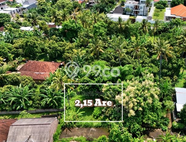 Dijual Tanah 215m2 di Lovina, Buleleng Dijual Tanah 215m2 di Lovina, Buleleng