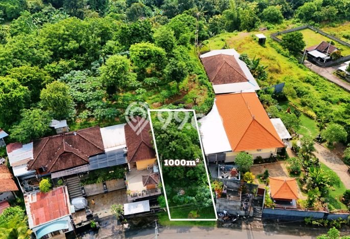 Tanah Dijual Lokasi Buleleng, Buleleng Luas 1000m2 Legalitas Aman Tanah Dijual Lokasi Buleleng, Buleleng Luas 1000m2 Legalitas Aman