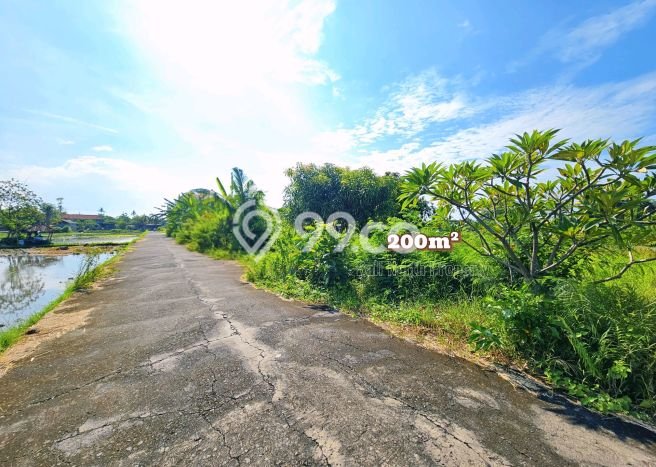Tanah Dijual Area Strategis di Lovina Buleleng 200m2 Tanah Dijual Area Strategis di Lovina Buleleng 200m2