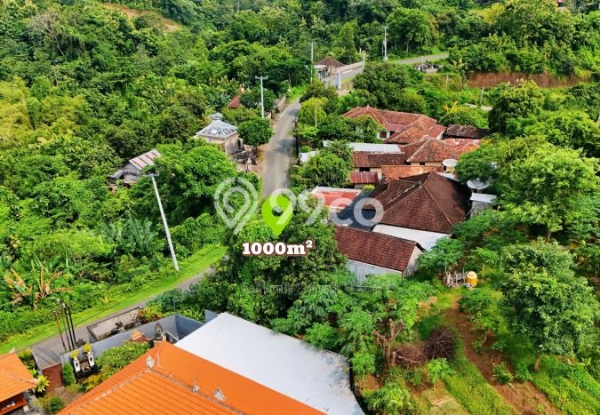 Tanah Dijual Lokasi Buleleng, Buleleng Luas 1000m2 Legalitas Aman Tanah Dijual Lokasi Buleleng, Buleleng Luas 1000m2 Legalitas Aman