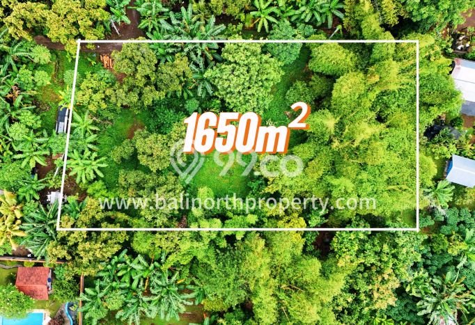 Tanah Kavling Dijual di Buleleng dengan Spesifikasi 1650m2 Tanah Kavling Dijual di Buleleng dengan Spesifikasi 1650m2