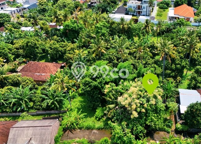 Tanah Kavling Dijual di Lovina, Buleleng dengan Luas Tanah 150m2 Tanah Kavling Dijual di Lovina, Buleleng dengan Luas Tanah 150m2