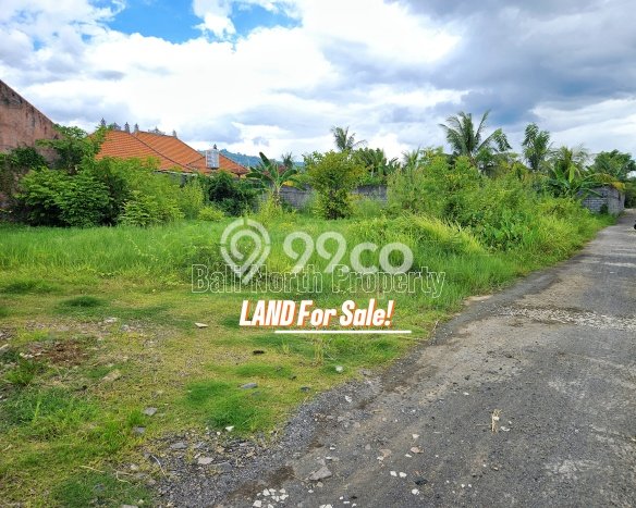 Tanah Kavling Dijual di Buleleng dengan Spesifikasi 100m2 Tanah Kavling Dijual di Buleleng dengan Spesifikasi 100m2