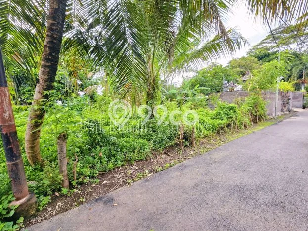 Kavling Tanah untuk Dijual di Lovina, Buleleng, Luas 300m2 Kavling Tanah untuk Dijual di Lovina, Buleleng, Luas 300m2