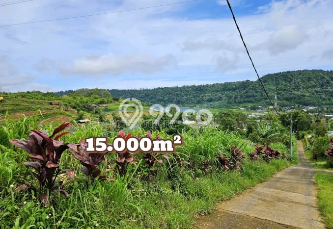 Lahan Dijual Lokasi Buleleng, Buleleng dengan Luas Tanah 15000m2 dan Status SHM Lahan Dijual Lokasi Buleleng, Buleleng dengan Luas Tanah 15000m2 dan Status SHM