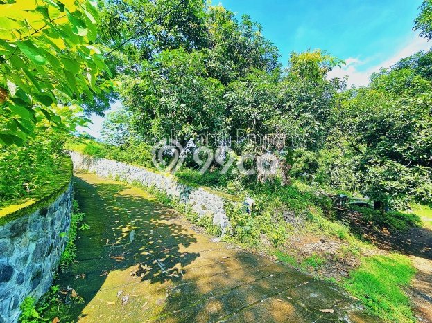 Tanah Dijual di Buleleng Seluas 4300m2 Strategis Tanah Dijual di Buleleng Seluas 4300m2 Strategis