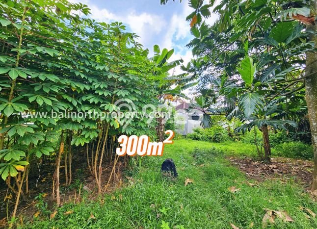 Kavling Tanah untuk Dijual di Lovina, Buleleng, Luas 300m2 Kavling Tanah untuk Dijual di Lovina, Buleleng, Luas 300m2