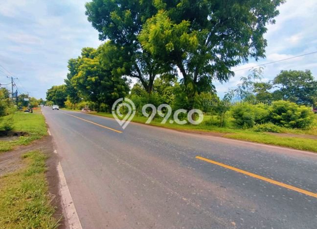 Untuk Dijual Tanah di Buleleng Buleleng Luas 445m2 SHM Untuk Dijual Tanah di Buleleng Buleleng Luas 445m2 SHM