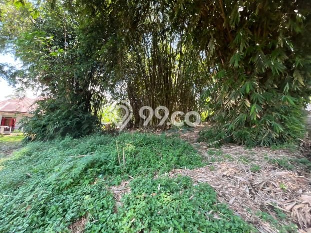 Lahan Strategis di Jatinangor Dijual dengan Luas 700m2 Lahan Strategis di Jatinangor Dijual dengan Luas 700m2