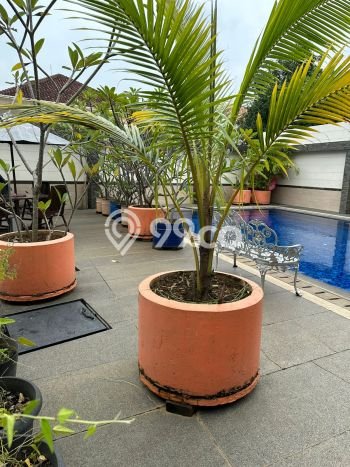 For Sale Rumah Mewah Exclusive di Gajah Mungkur, Semarang For Sale Rumah Mewah Exclusive di Gajah Mungkur, Semarang